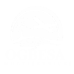 default-logo