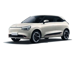 ECONOMICO ELECTRICO